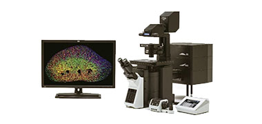 Polarized OCT Imaging System